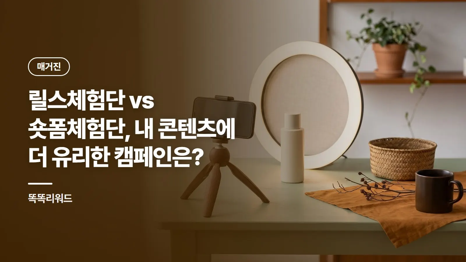 릴스체험단 vs 숏폼체험단, 내 콘텐츠에 더 유리한 캠페인은?