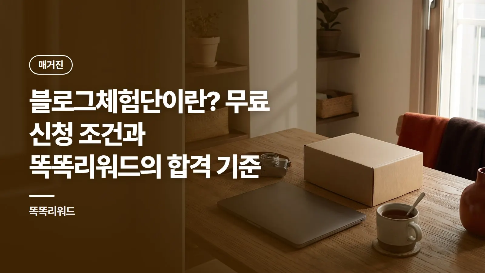 블로그체험단이란? 무료 신청 조건과 똑똑리워드의 합격 기준