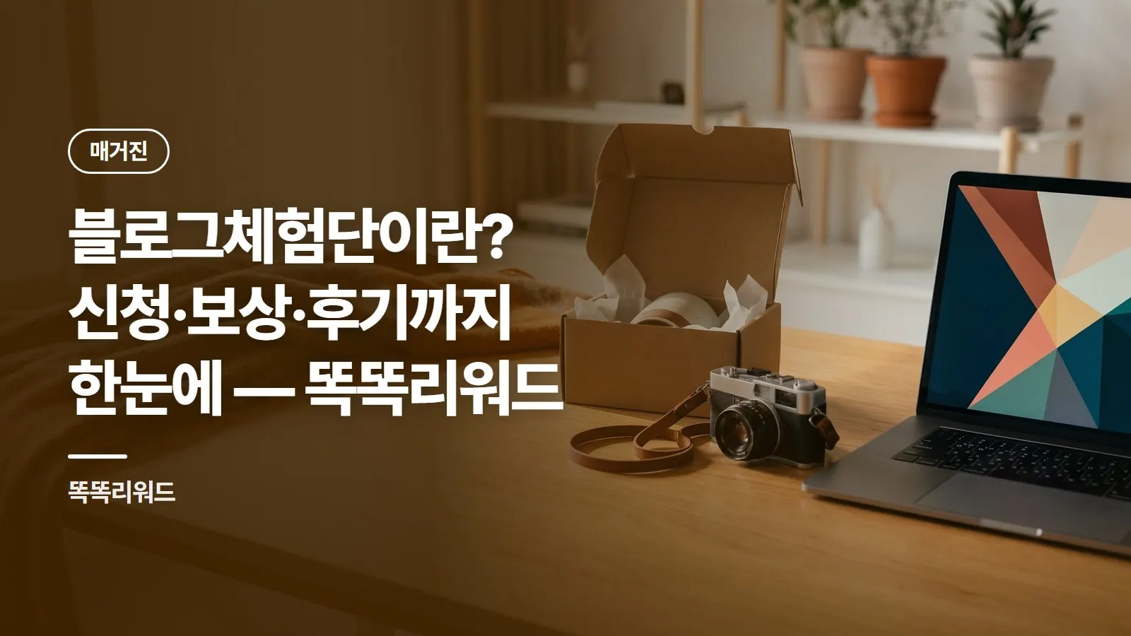 블로그체험단이란? 신청·보상·후기까지 한눈에 — 똑똑리워드