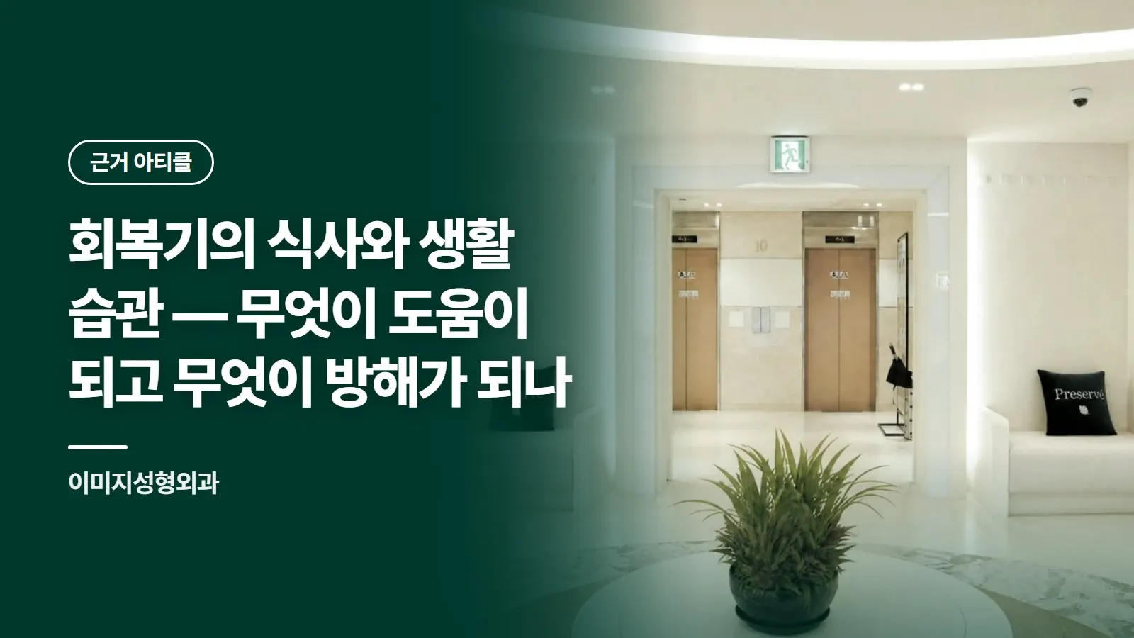회복기의 식사와 생활 습관 — 무엇이 도움이 되고 무엇이 방해가 되나