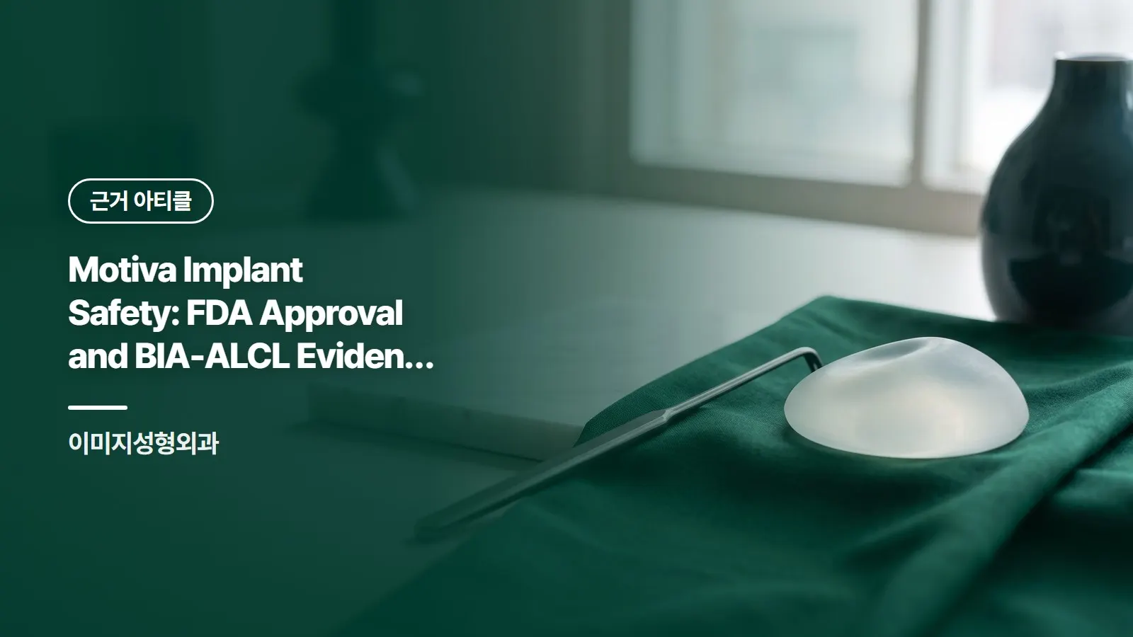 Motiva Implant Safety: FDA Approval and BIA-ALCL Evidence (English)