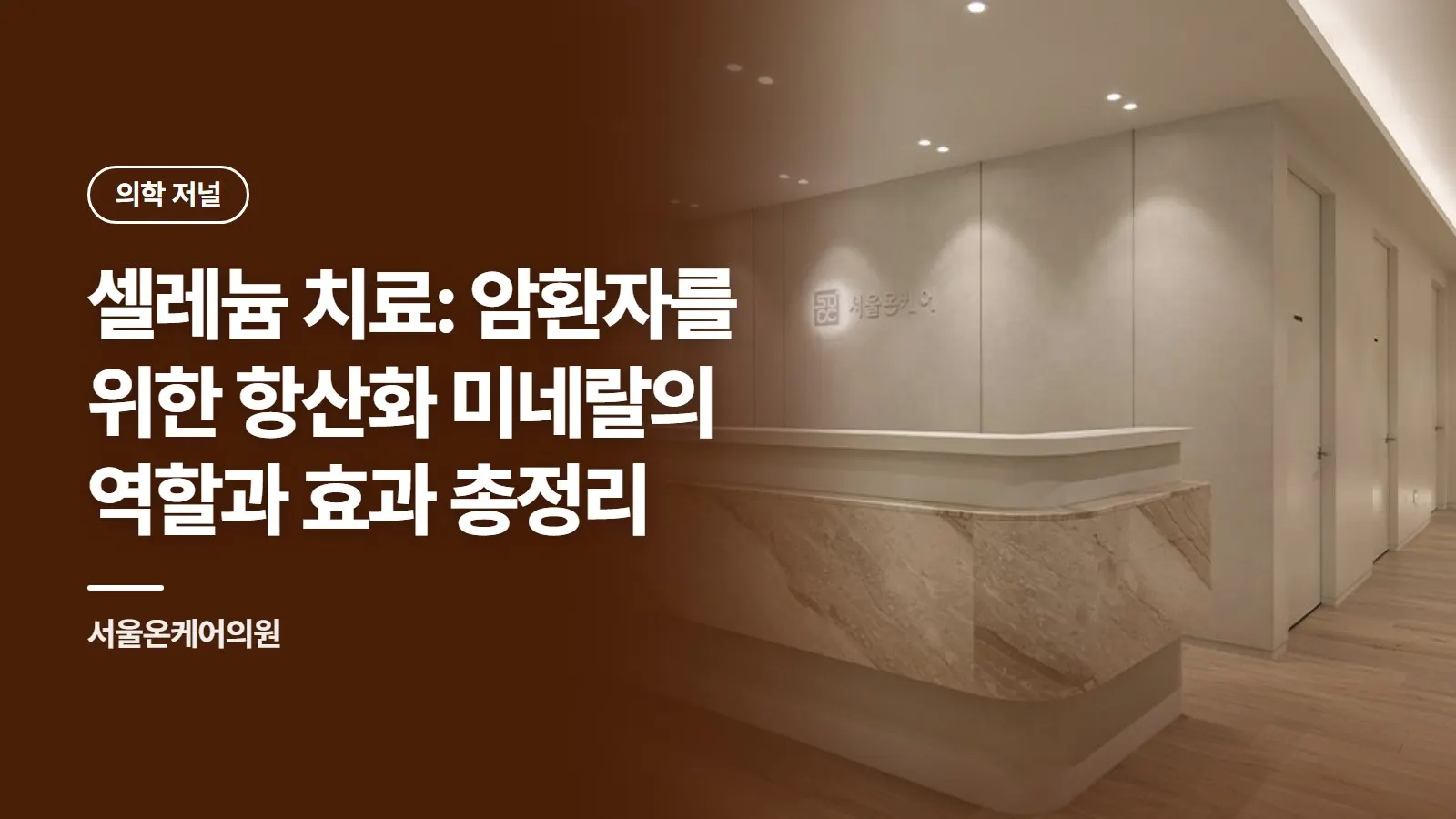 셀레늄 치료: 암환자를 위한 항산화 미네랄의 역할과 효과 총정리
