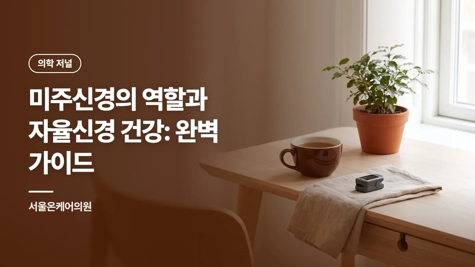 미주신경의 역할과 자율신경 건강: 완벽 가이드
