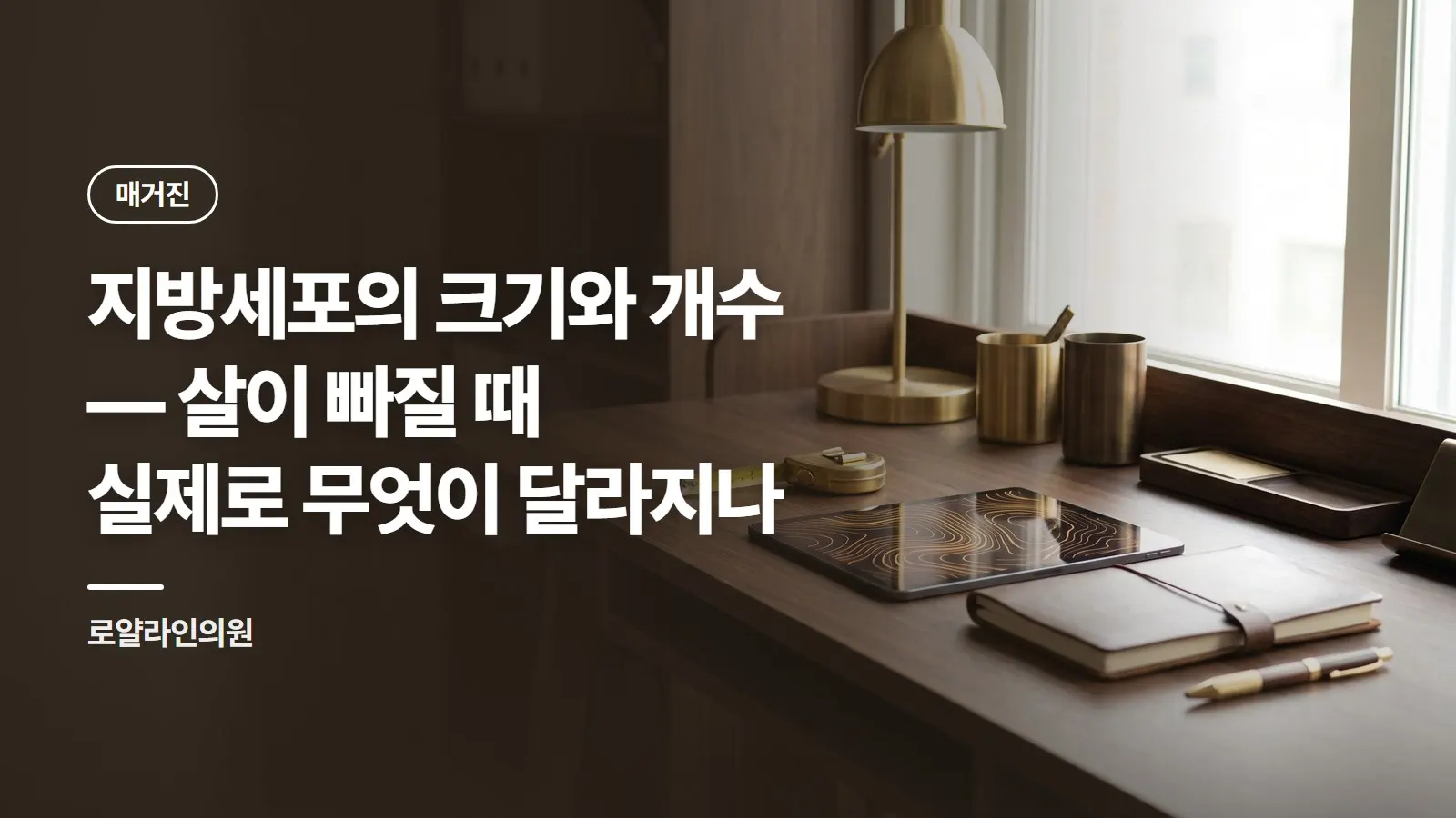 지방세포의 크기와 개수 — 살이 빠질 때 실제로 무엇이 달라지나