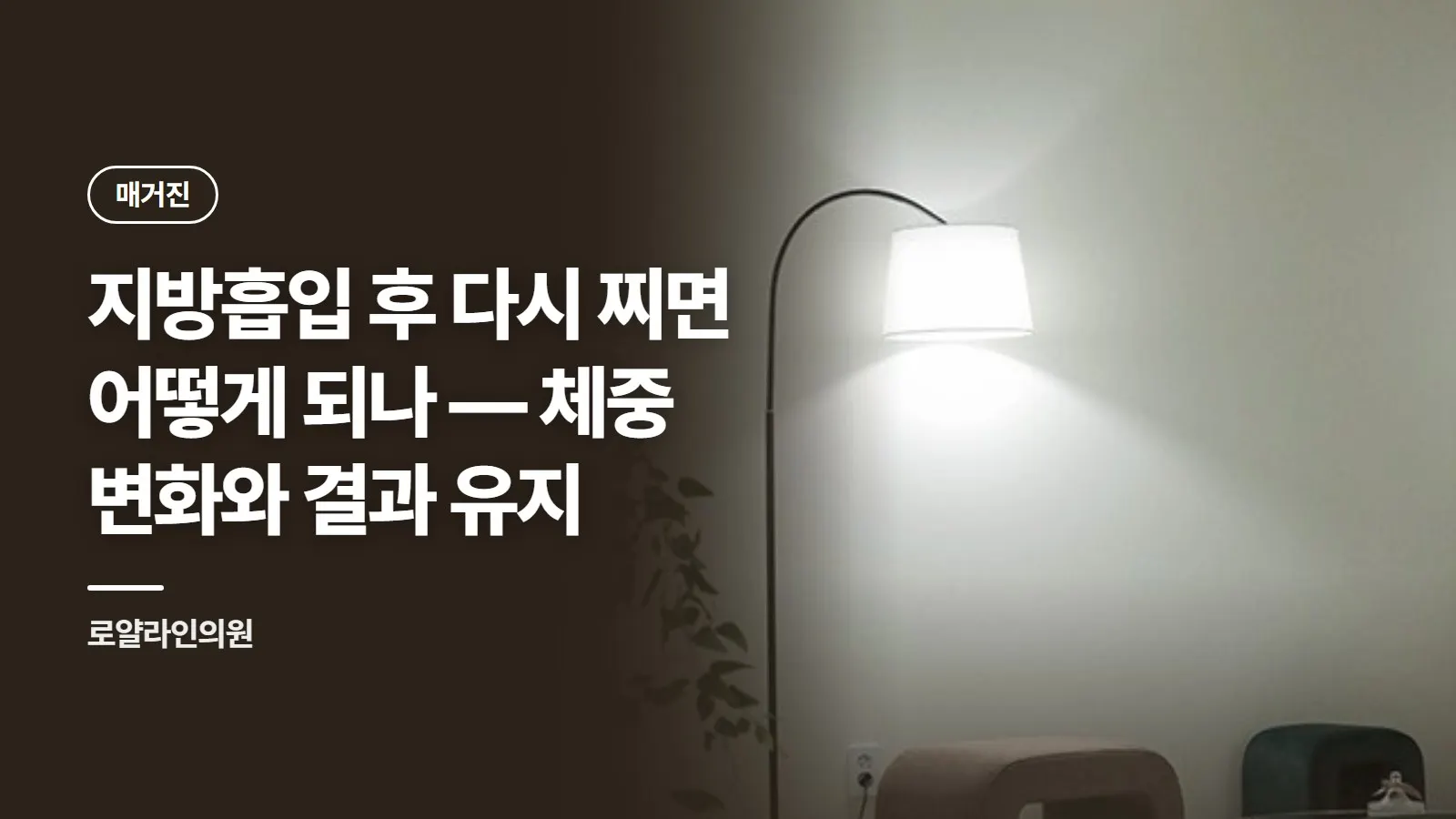 지방흡입 후 다시 찌면 어떻게 되나 — 체중 변화와 결과 유지