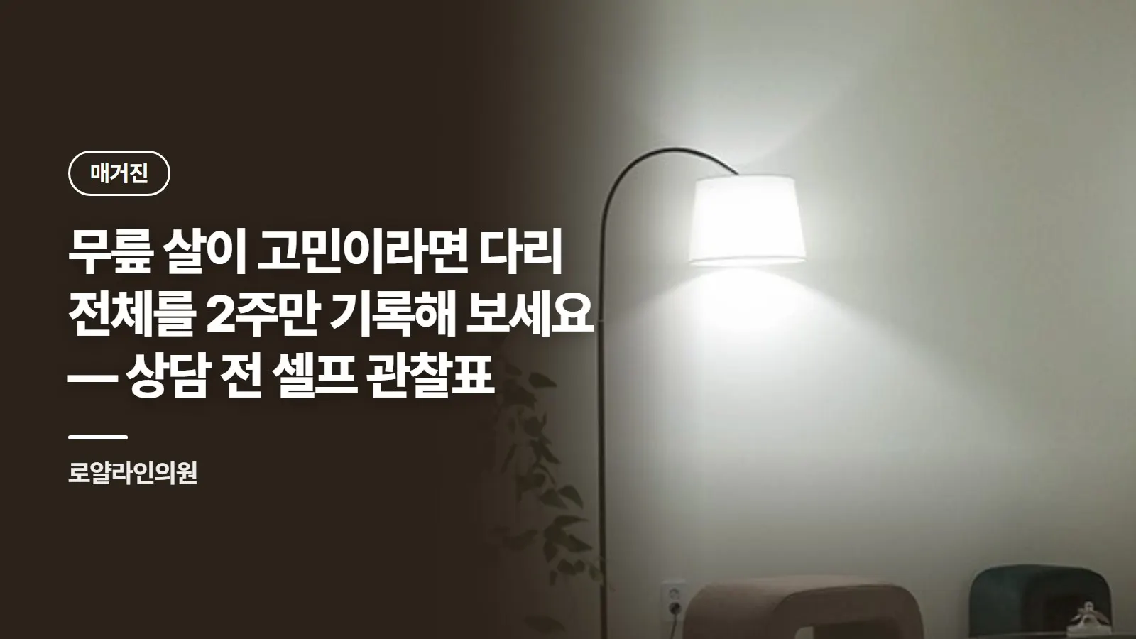무릎 살이 고민이라면 다리 전체를 2주만 기록해 보세요 — 상담 전 셀프 관찰표